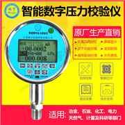 MY-GJ100 智能數(shù)字壓力校驗(yàn)儀